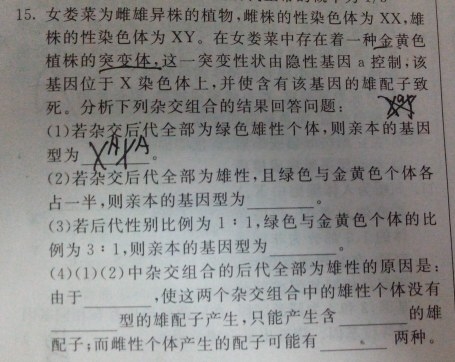 16dcd024.png