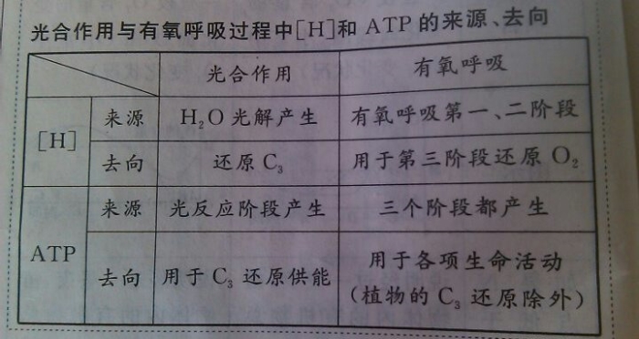 呼什么去成语_成语故事图片(3)