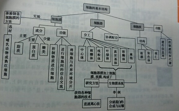 高中数学平面向量思维导图