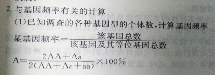 基因频率公式