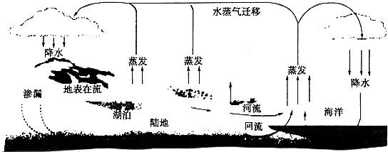 根据水的循环示意图,简述自然界中的水是如何循环的?