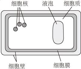 e9167f90.png