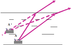 公园.(1)一只小鸟从湖面上水平飞过,小鸟映在平