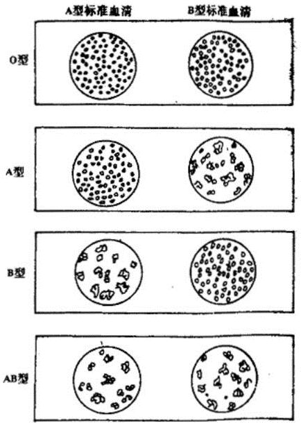 2008年5月12日,四川汶川发生8.0级强烈地震,灾