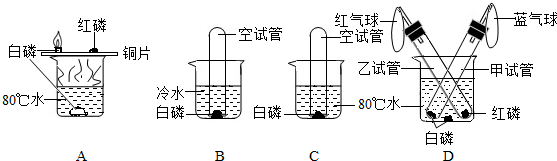 a,红磷与白磷都是不溶于水的固体物质 b,红磷与白磷都能在空气中燃烧