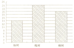 上饶市出生人口统计_上饶市人口分布图(2)