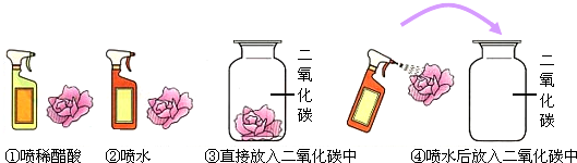 菁優(yōu)網