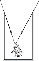 这个成语大家都很熟悉吧?相信大家学习过光的