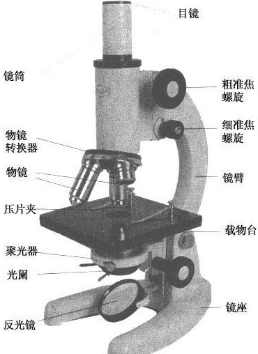 显微镜的结构图