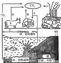 2009至2020我国GDP_我国各省gdp排名2020