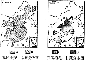 塔里木盆地人口的分布_塔里木盆地图片(2)