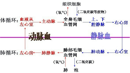 0ae66901.png