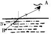 小红观察水中的鱼B,在图中画出人看到鱼的折射