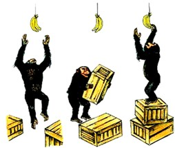 如图是黑猩猩摘取食物的过程,请据图完成下列