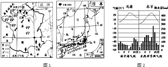 七年级 上学期