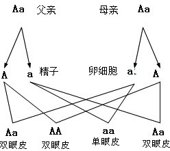 6ab1fdcd.png