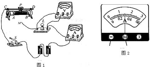 2010年北京市大兴区中考物理二模试卷