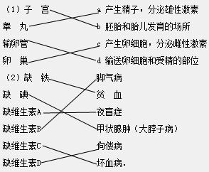 请将下列结构和它相对应的功能用线连接起来.