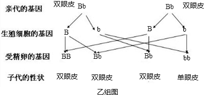 7bee0ce6.png