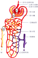 f3a102eb.png