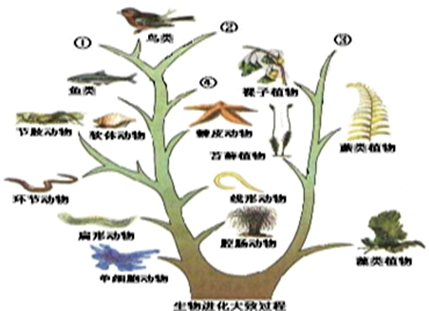 识图作答:内填图中标号, 上写文字.下图示生物进