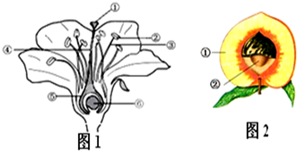 <em>御姐受精动态图</em>_<em>御姐萝莉受精</em>_动漫御姐邪恶
