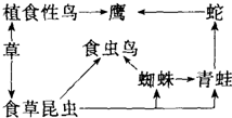 菁優(yōu)網(wǎng)