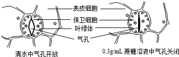 菁優(yōu)網