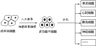 2012年诺贝尔生理学或医学奖被授予英国科学