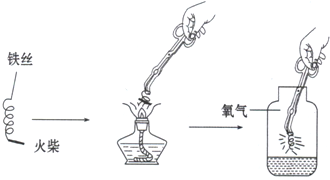 为了探究铁丝可以在纯净的氧气中燃烧,几个同
