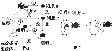 53b773e5.png