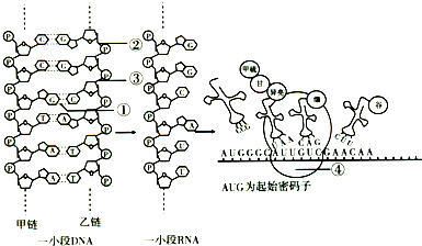 a8c2869d.png