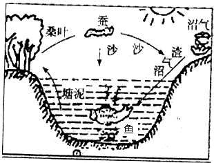 (2013吉安县二模)图中表示的珠江三角洲地区特有的农业生产模式(  )