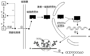 如图是某种雌激素分泌及作用机制模式图,请据