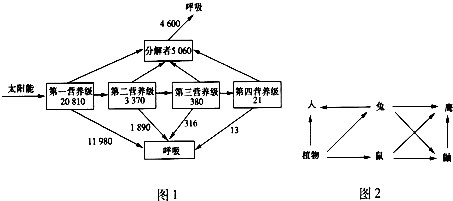 如图1是某生态系统的能量流动图解,图中数值的