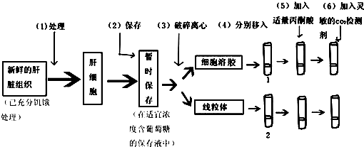 课题小组同学为了确定细胞有氧呼吸第二阶段发