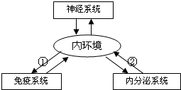 菁優(yōu)網(wǎng)