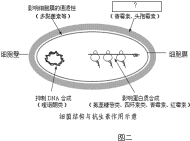 2012年上海市奉贤区高考生物二模试卷