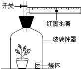 关于高中生物趣味教学案例的本科毕业论文范文