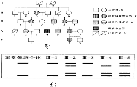 2012年江苏省苏中三市(南通泰州扬州)高考生物