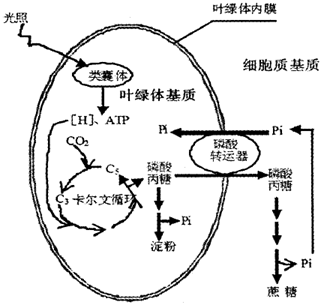 制作指南针的依据的原理是什么_指南针n和s是什么方向(3)