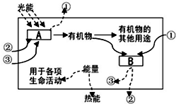 菁優(yōu)網(wǎng)