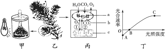 菁優(yōu)網