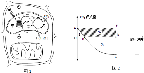 2012年广东省湛江市高考生物一模试卷