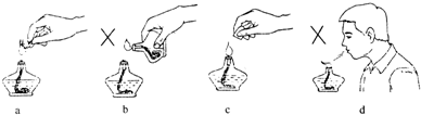 请你观察图中所提供的信息,归纳酒精灯点火及熄火的方法.