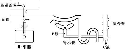 菁優(yōu)網(wǎng)