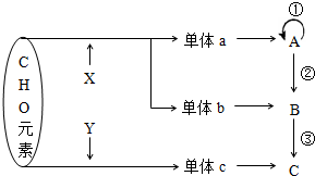 菁優(yōu)網