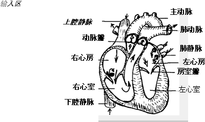 厚空 最快空格 心脏 全身处
