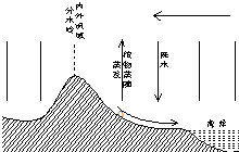 东北地区人口与自然环境的关系_东北地区人口与交通图(3)