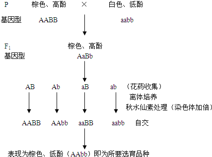 如图所示,小组棉花用{}_{}^Co照射科研种子浦东高中香山图片